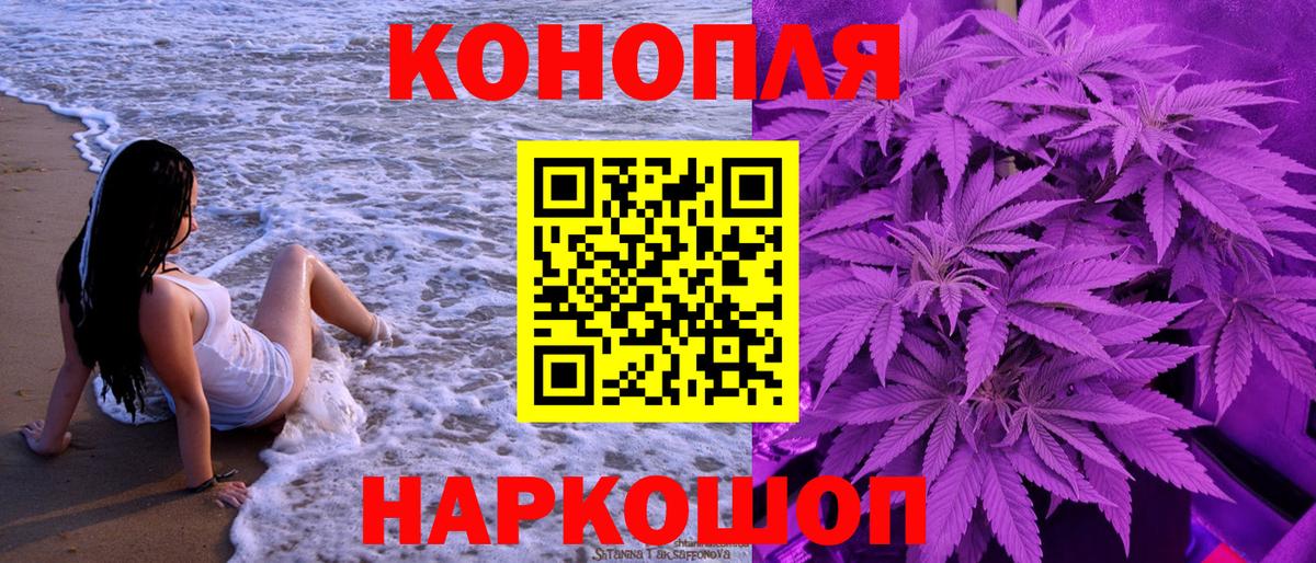 Шишки марихуана план  Конопля White Widow  Вход с VPN  Кумертау  Марихуана тримм 